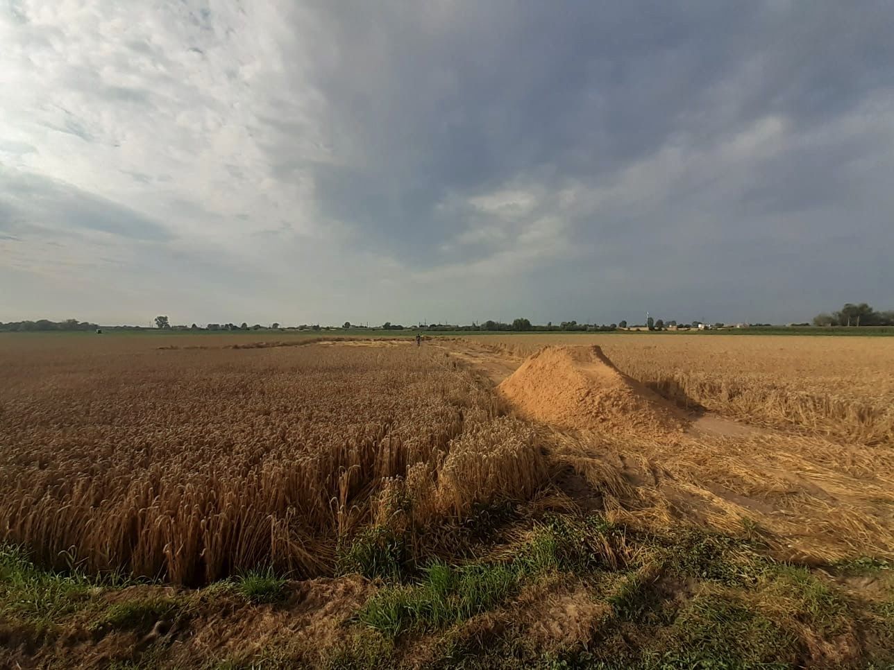 stavba parku waganiec